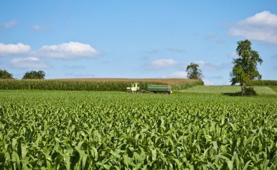 agricultura productie prognoza - AgroExpert.md