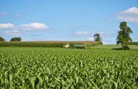 agricultura productie prognoza - AgroExpert.md