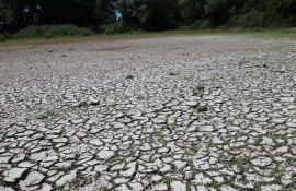 seceta moldova sandu - AegroExpert.md