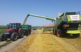 cereale preț bursa UE - AgroExpert.md