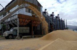 export cereale Ucraina - Agroexpert.md