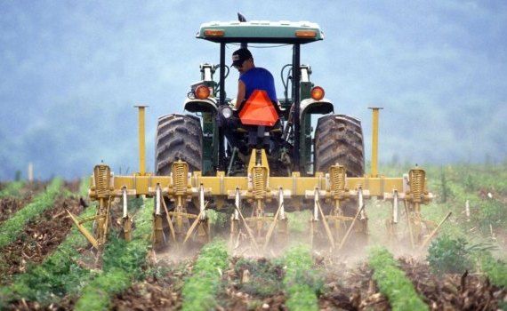 agricultori nemulțumiri buget - AgroExpert.md