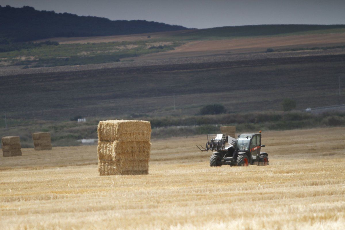 fermieri, Rusia producție - AgroExpert.md