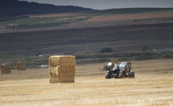 fermieri, Rusia producție - AgroExpert.md