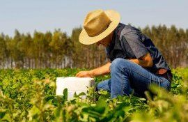 agricultori recolya seceta - AgroExpert.md
