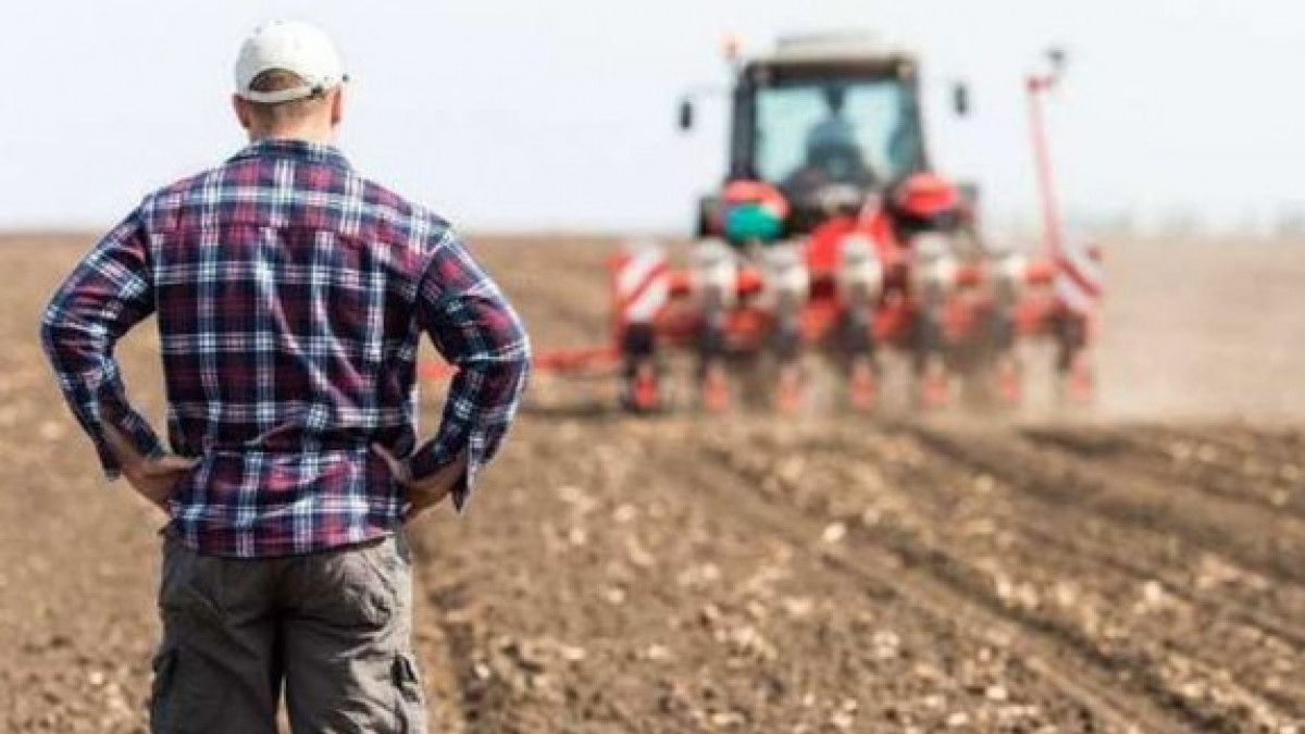 Bruxelles, decizie fermieri - AgroExpert.md