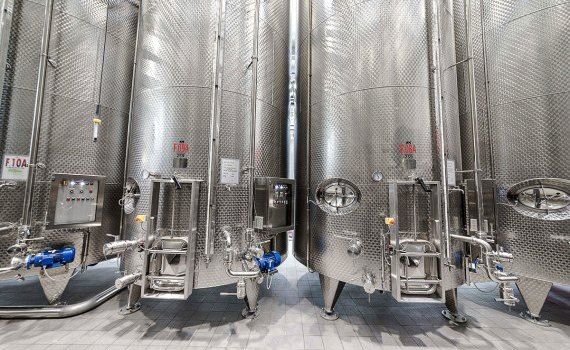 vinificatori export producere - AgroExpert.md