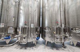 vinificatori export producere - AgroExpert.md