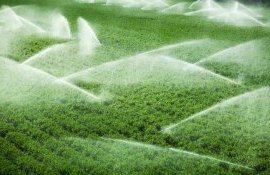 irigații asociații utilizatori - AgroExpert.md