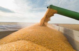 cereale prețuri bursă - AgroExpert.md