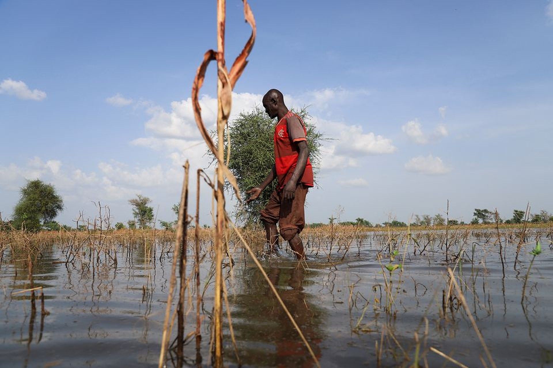 africa, schimbări climatice - AgroExpert.md