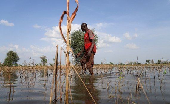 africa, schimbări climatice - AgroExpert.md