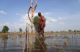 africa, schimbări climatice - AgroExpert.md