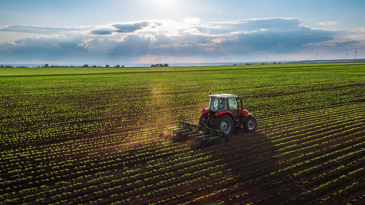 agricultura Romania producție - AgroExpert.md