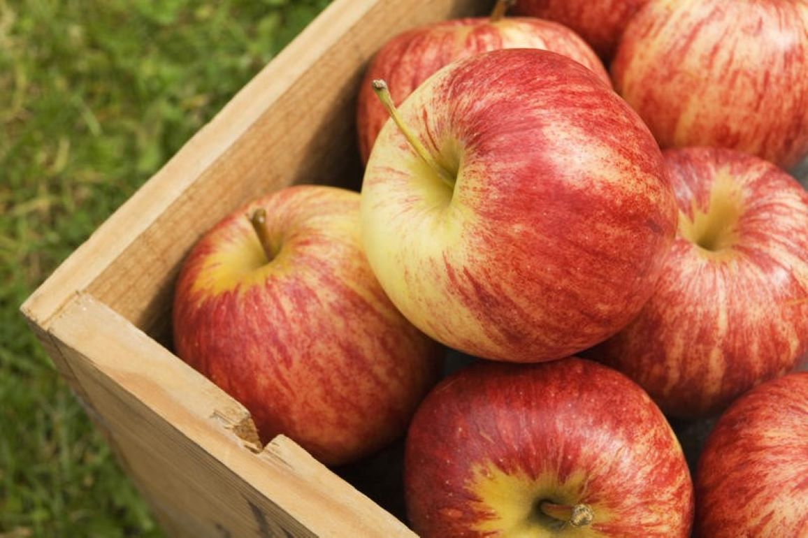 Спрос на польские яблоки