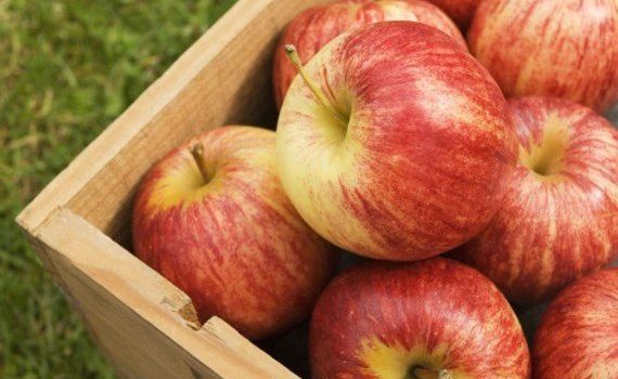Спрос на польские яблоки