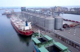 port Constanta mîrfuri - AgroExpert.md