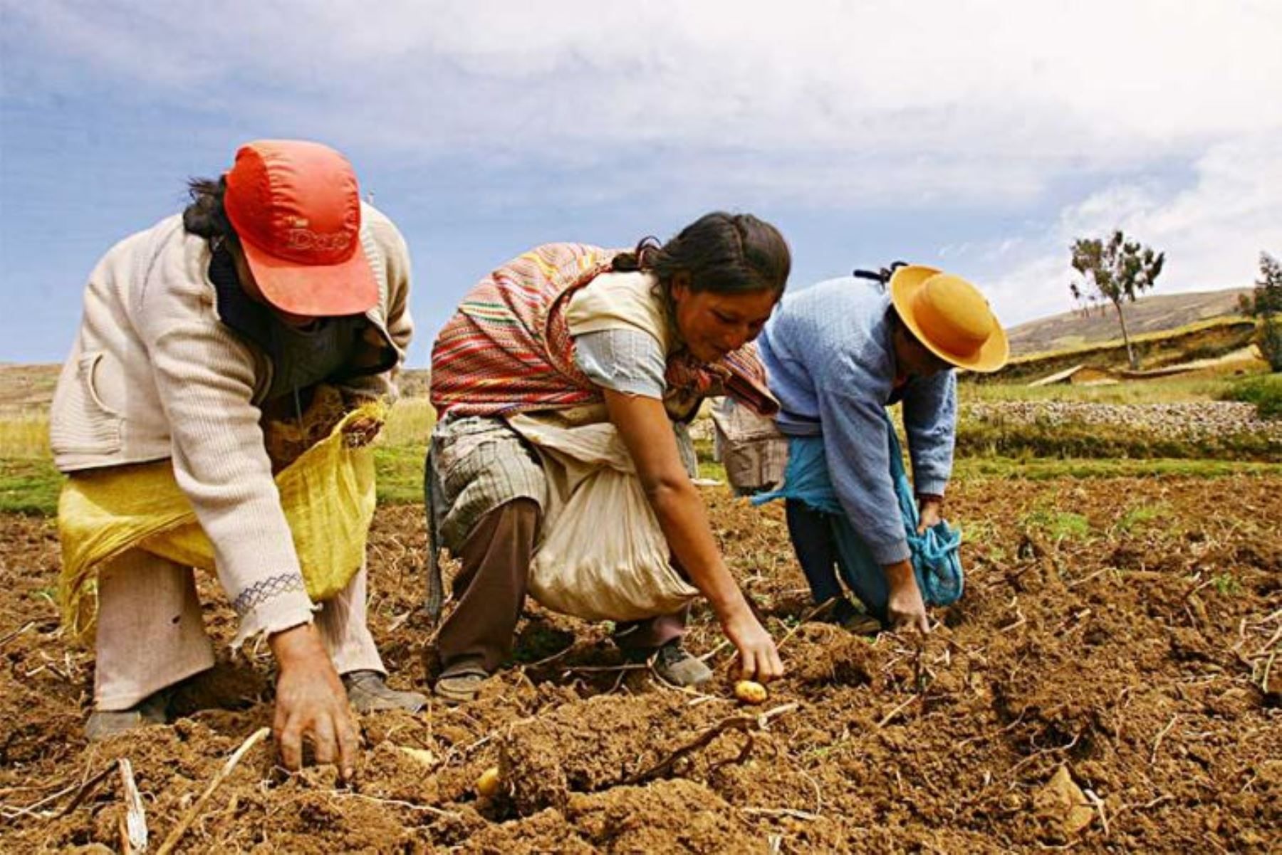 peru, agricultura susținere - AgroExpert.md