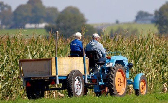 fermieri subvenții agricultură - AgroExpert.md