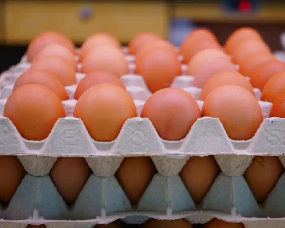 На Украине представлен новый продукт — варенное чищеное яйцо