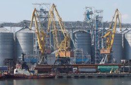 export griu Ucraina - AgroExpert.md