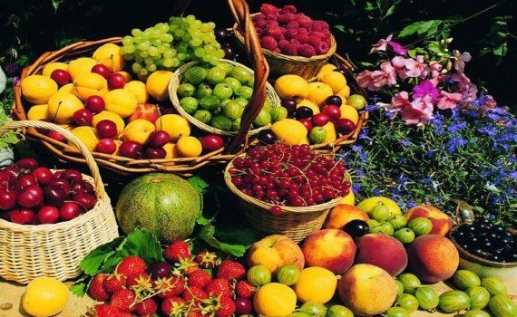 fructe TVA Spania - AgroExpert.md