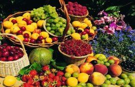 fructe TVA Spania - AgroExpert.md