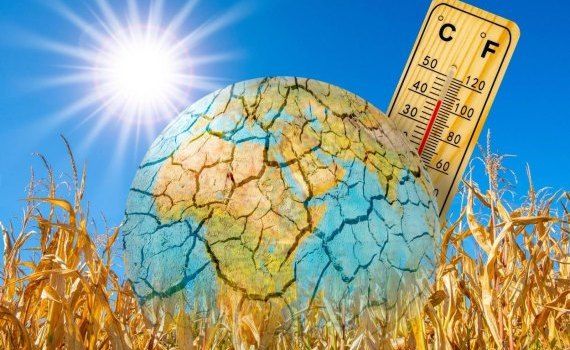 bani schimbări climatice banca - AgroExpert.md