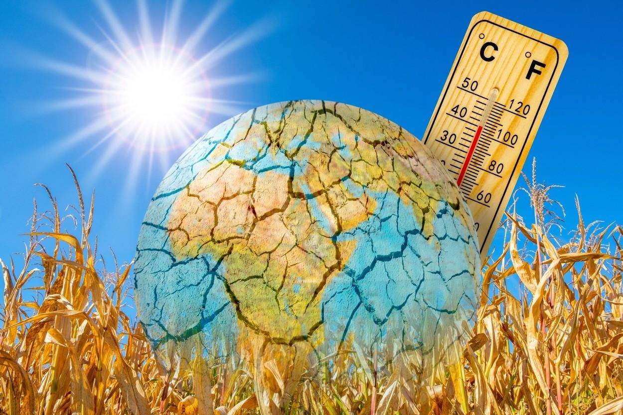 bani schimbări climatice banca - AgroExpert.md