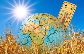 bani schimbări climatice banca - AgroExpert.md