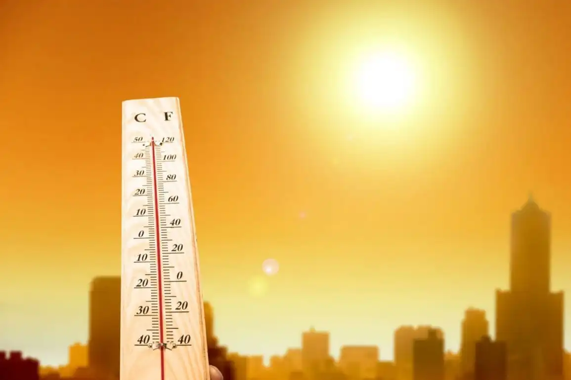 Доклад «Copernicus Global Climate»: 2022 год стал вторым самым жарким в Европе     