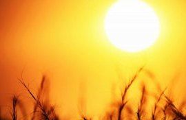 canicula Europa temperaturi - agroExpert.md