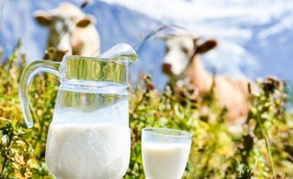 lapte Bulgaria prețuri - AgroExpert.md