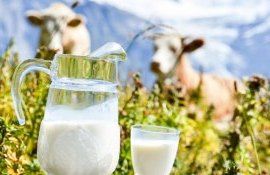 lapte Bulgaria prețuri - AgroExpert.md