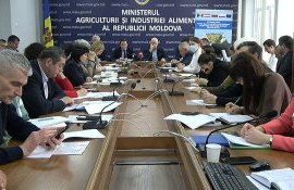 minister strategie zahar - AgroExpert.md