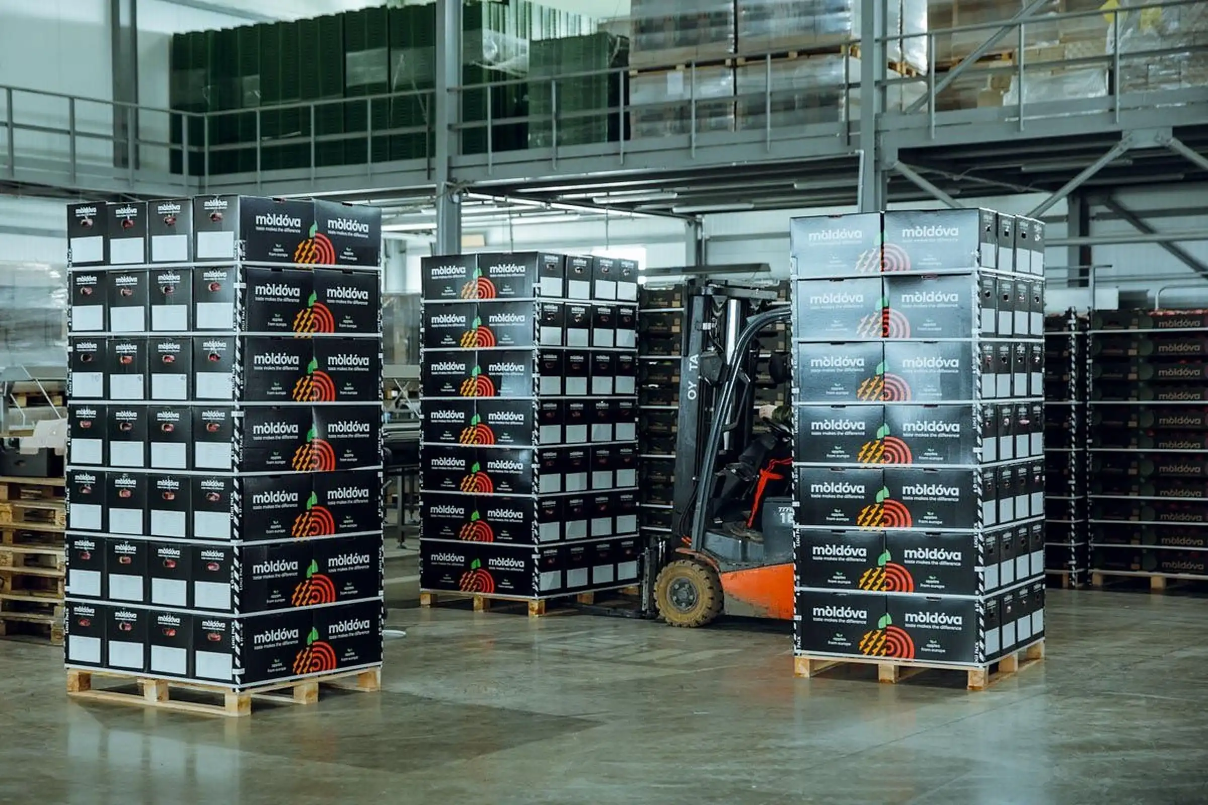 Primele 5 containere cu mere moldovenești au fost livrate către India