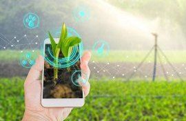 Цифровизация-сельского-хозяйства-cifrovizaciya-selskogo-hozyajstva-agroexpert.md