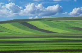 terenuri Cod funciar mddificare - AgroExpert.md