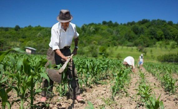 agricultura munca infromala - AgroExpert.md
