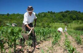 agricultura munca infromala - AgroExpert.md