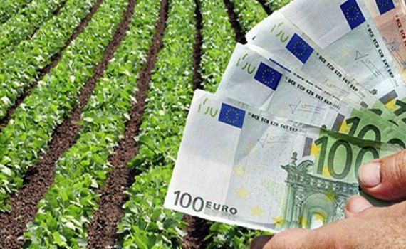 Возобновились выплаты сельхозсубсидий-agroexpert.md