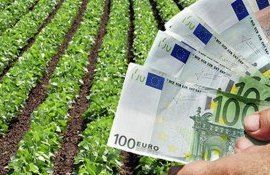Возобновились выплаты сельхозсубсидий-agroexpert.md