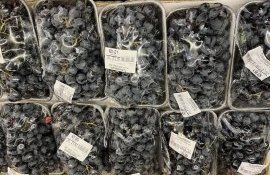 Молдавский виноград на полке супермаркета в Баку