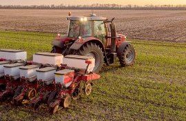 grâu semănături risc - AgroExpert.md