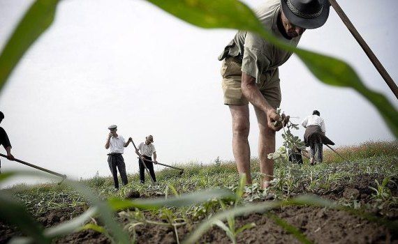 agricultură producție export- AgroExpert.md