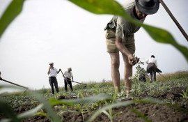 agricultură producție export- AgroExpert.md