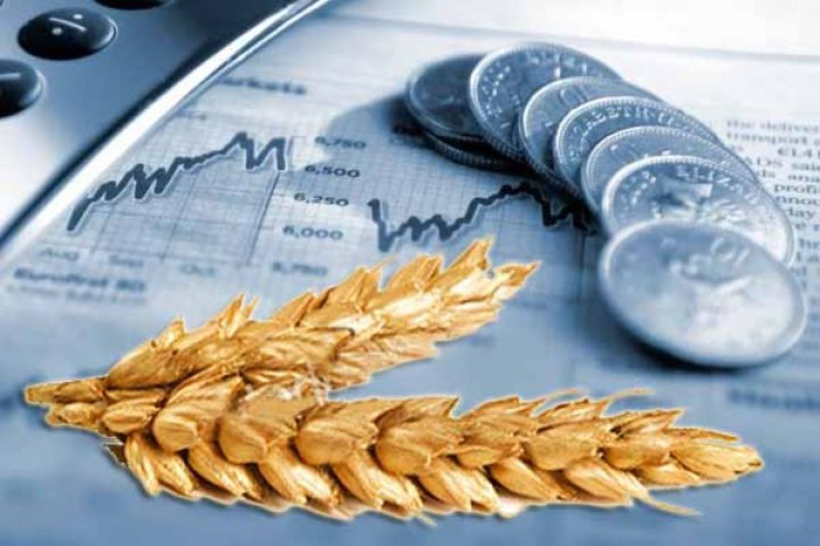 Рост цен продовольственной пшеницы в Украине - agroexpert.md