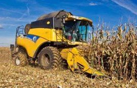 Влажность кукурузы для начала уборки урожая - agroexpert.md