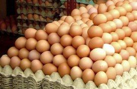 ouă prețuti SUA - AgroExpert.md