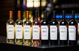 purcari cifra de afaceri vinificator - AgroExpert.md